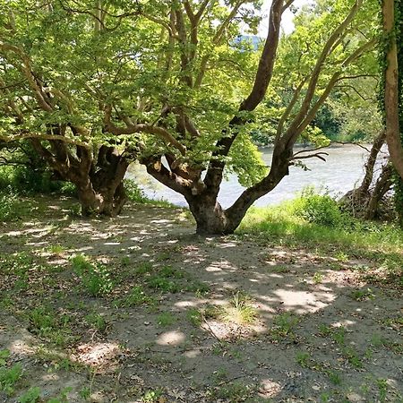 Bourazani Wild Life Resort Konitsa Ngoại thất bức ảnh