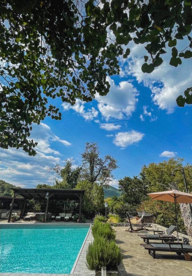 Bourazani Wild Life Resort Konitsa Ngoại thất bức ảnh
